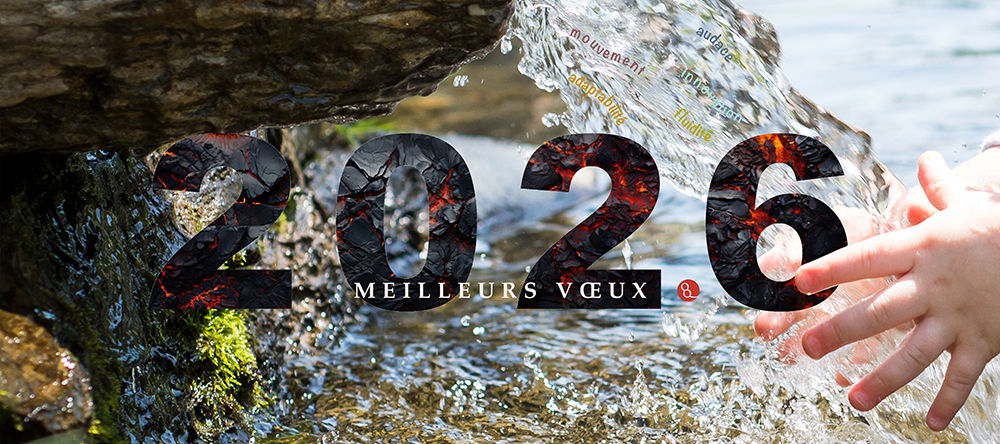 Stéphanie Dargent vous souhaite une bonne année nouvellle !